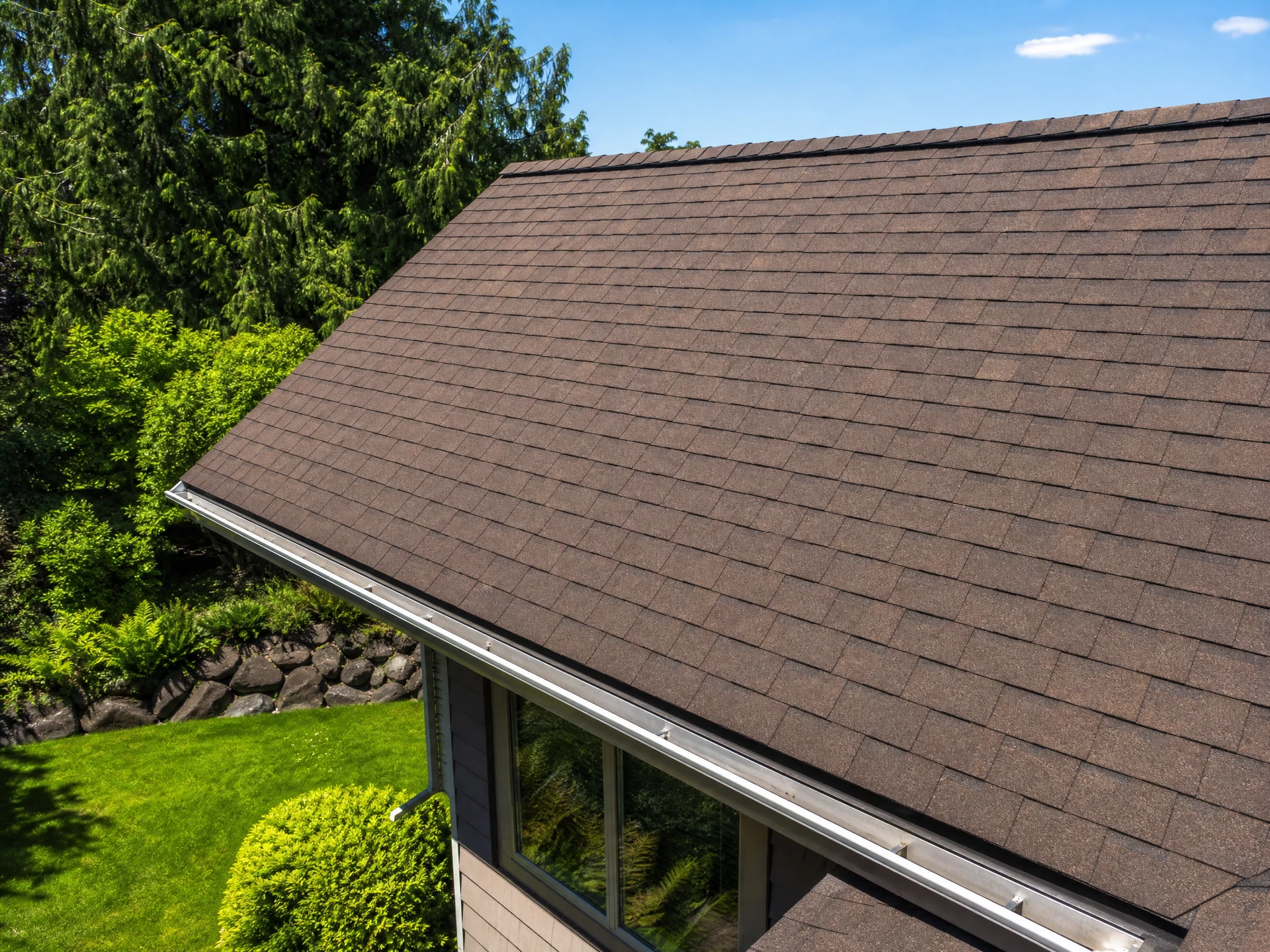 Pristine shingles after moss removal
