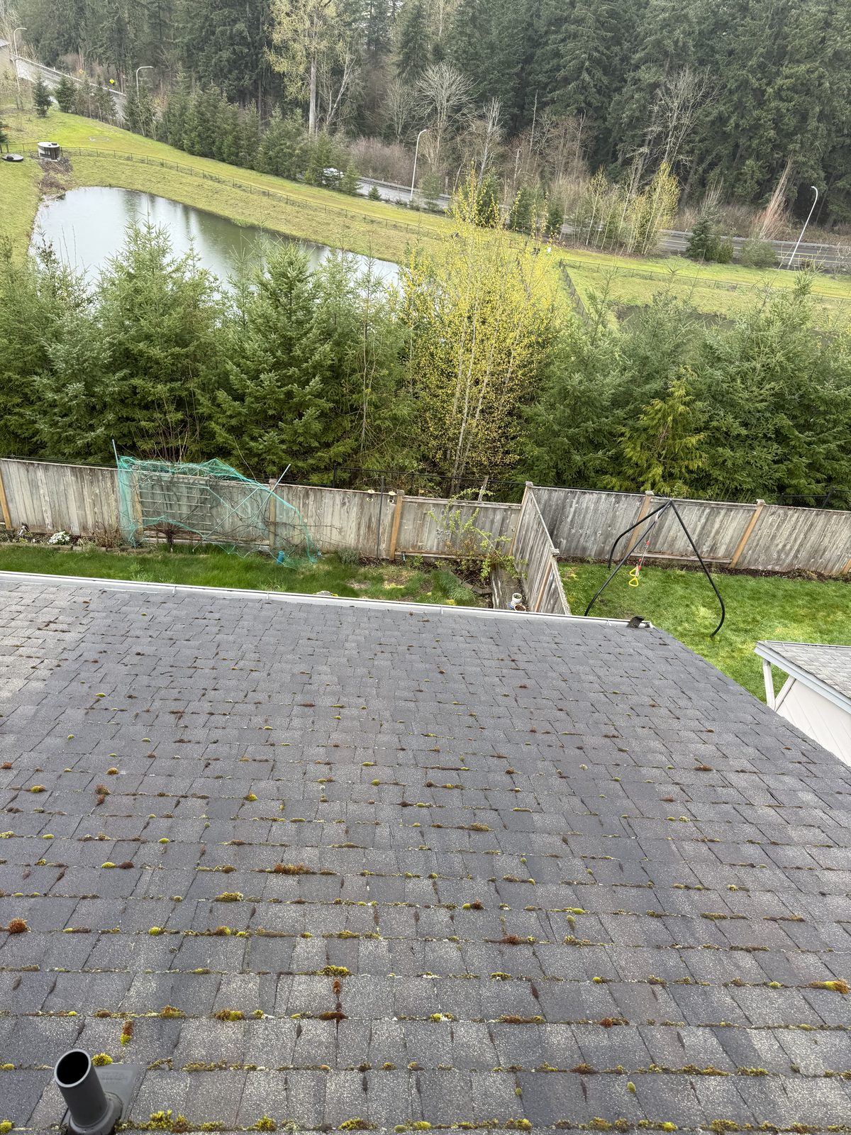 Roof cleaning before and after
