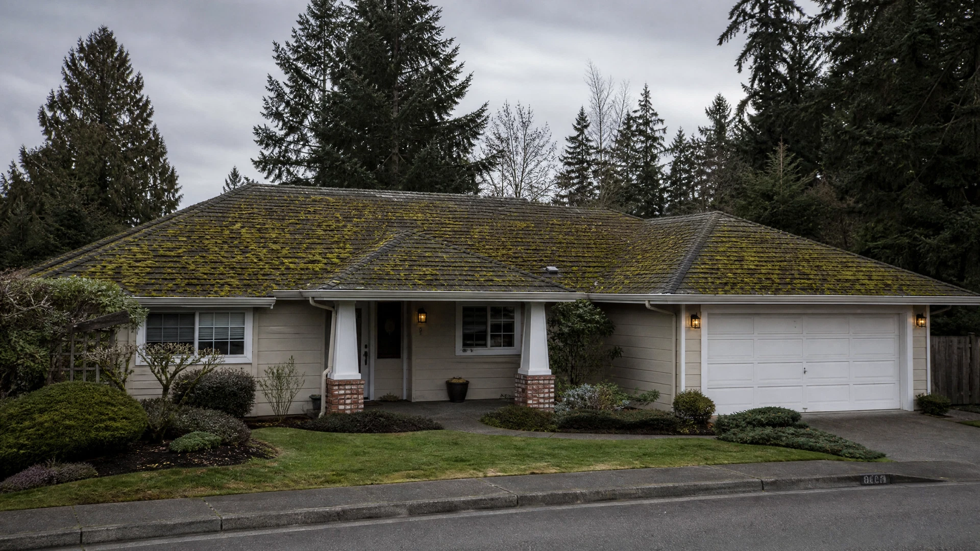 Before - mossy roof